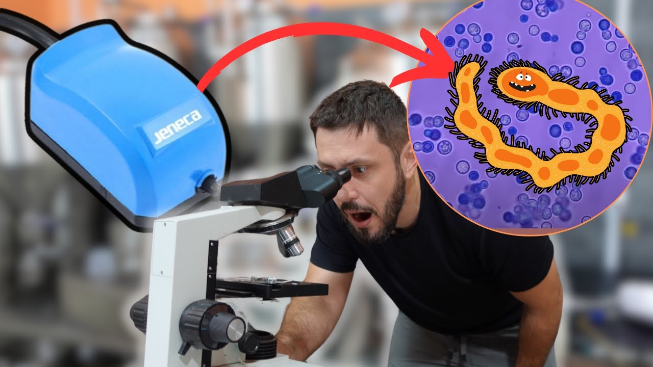 Essa bombinha está contaminando sua cerveja? Olha o que eu vi no microscópio…
