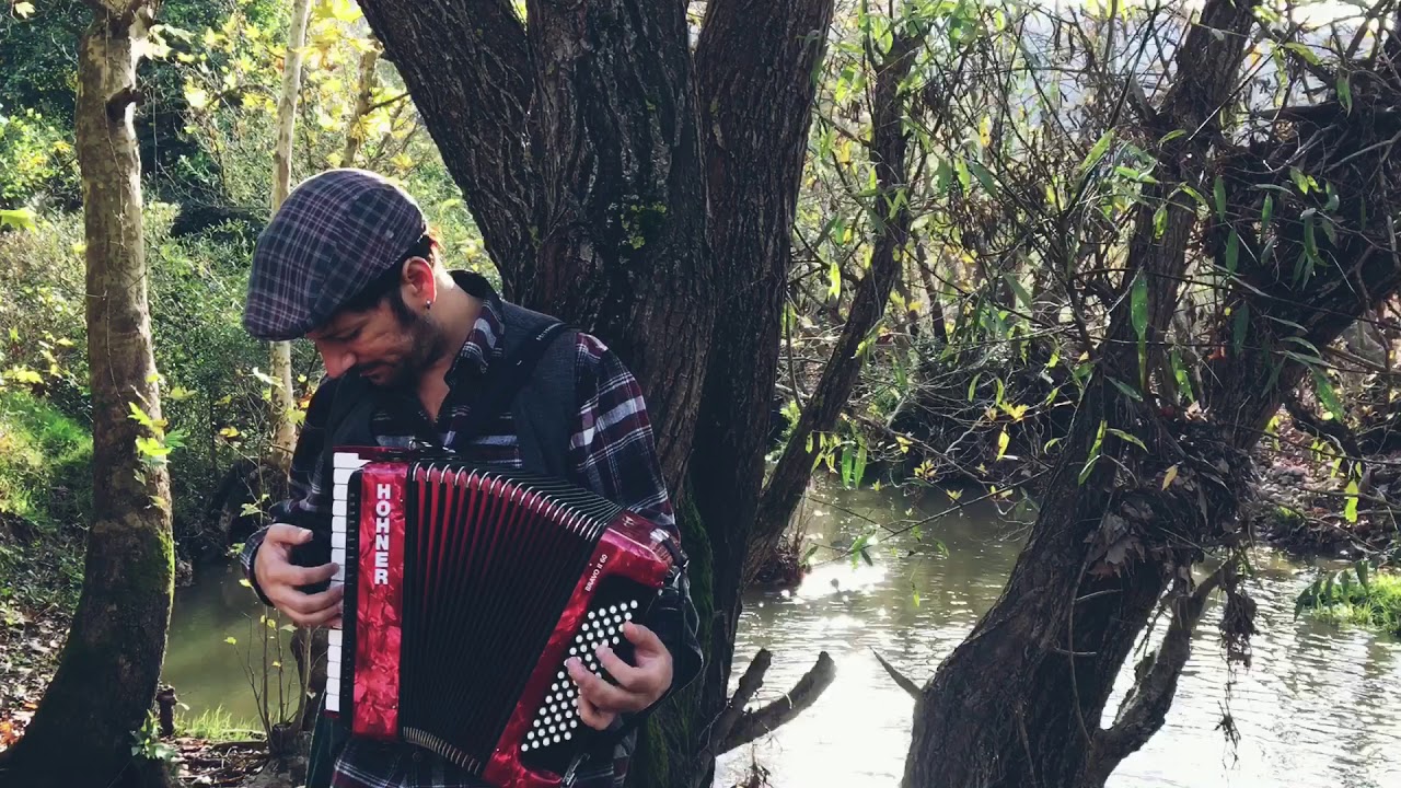 Kol düğmeleri akordeon cover -  gezegen yolcusu
