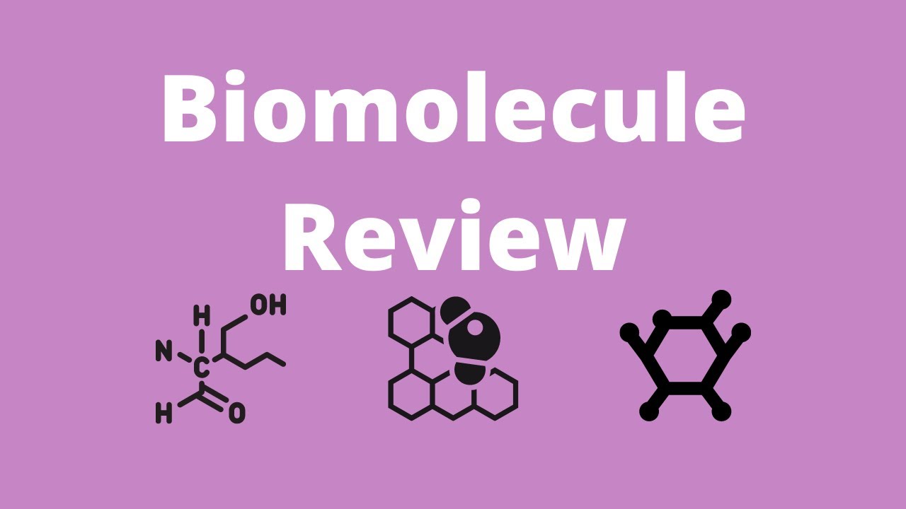 Biomolecule Review
