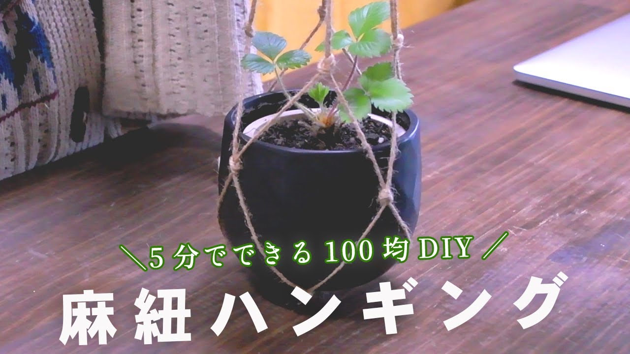 100均麻紐で植物を吊り下げてみた。簡単ハンギング[ 暮らしのVlog ♯147]
