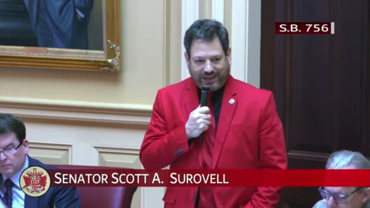 Sen. Surovell Makes the Case for a Tysons Entertainment District Referendum (SB756)