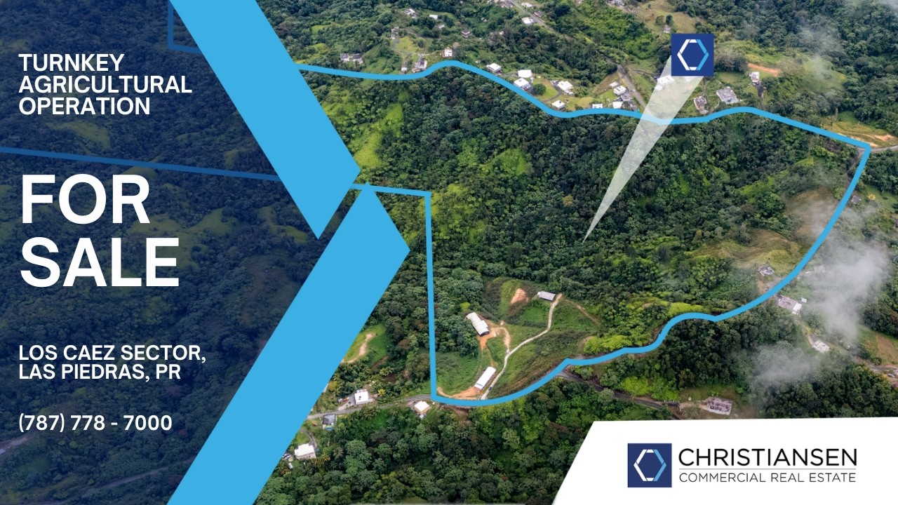 Turnkey Agricultural Operation w. Eco Tourism Potential @ Hacienda Montesol - For Sale