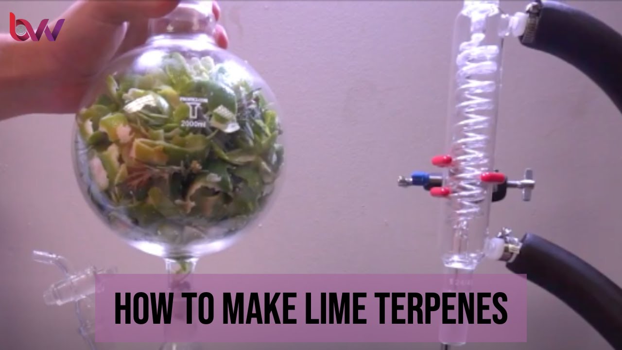 Steam Distillation - Lime essential oil
