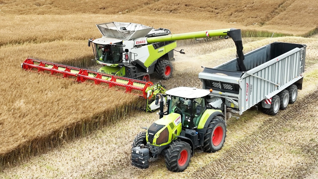 Claas Lexion 8900 harvesting different Crops | Big Farming