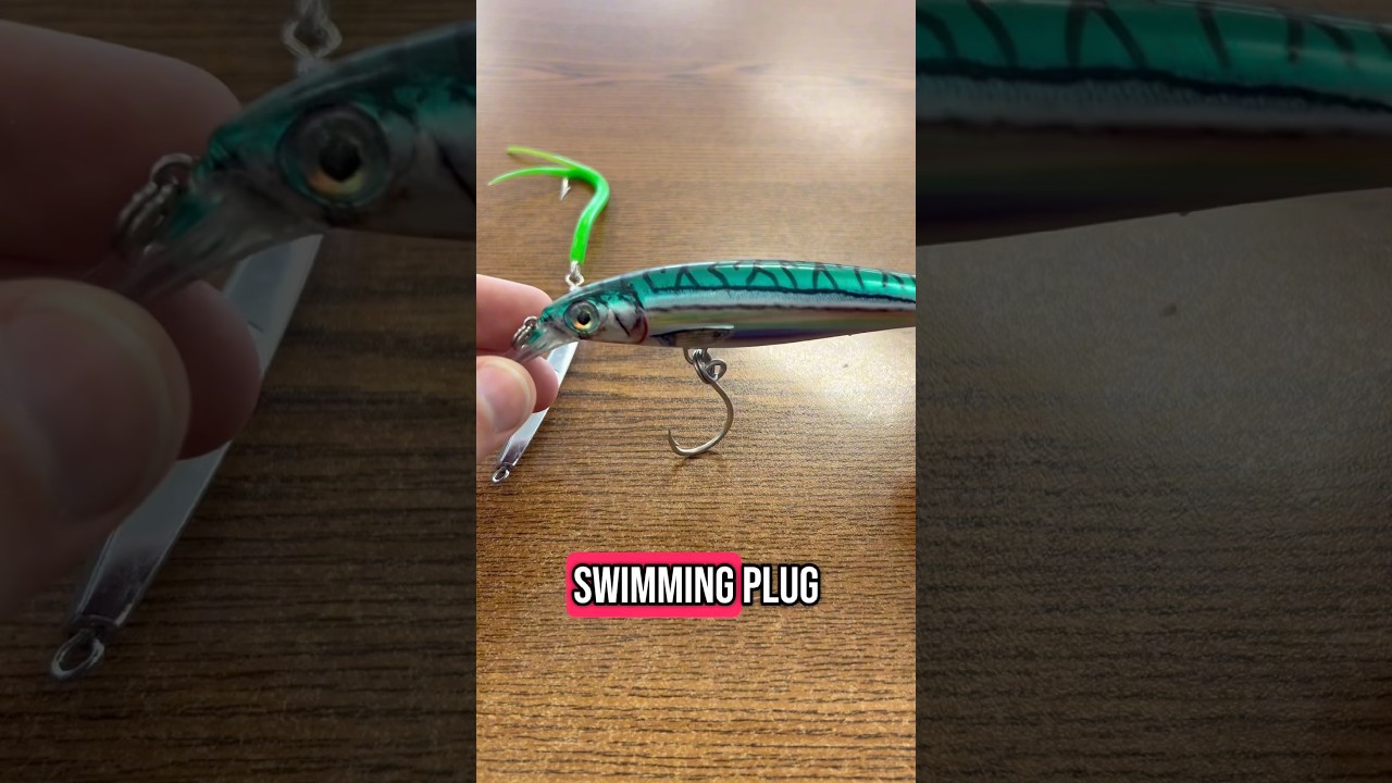 The Three BEST Striped Bass Lures #fishing #shorts