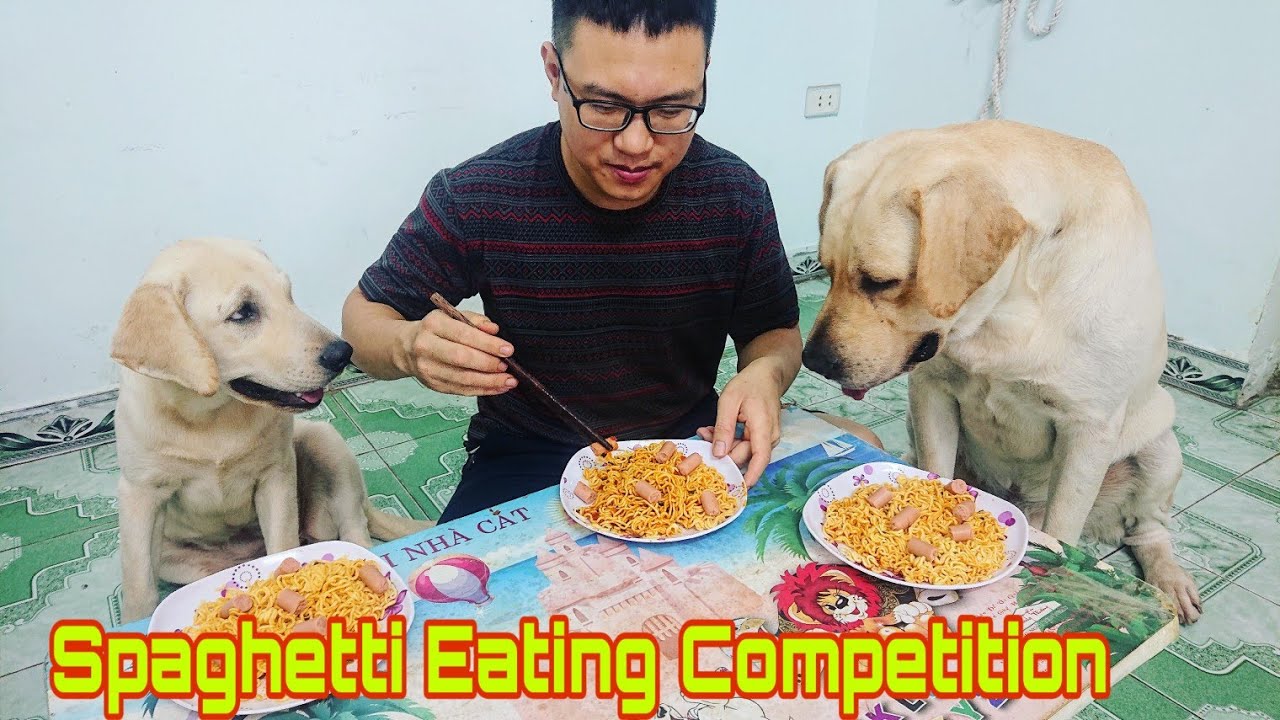 Cuộc thi ai ăn mì nhanh nhất - Kim Chi Củ Cải | Spaghetti Eating Competition - My Labrador Retriever