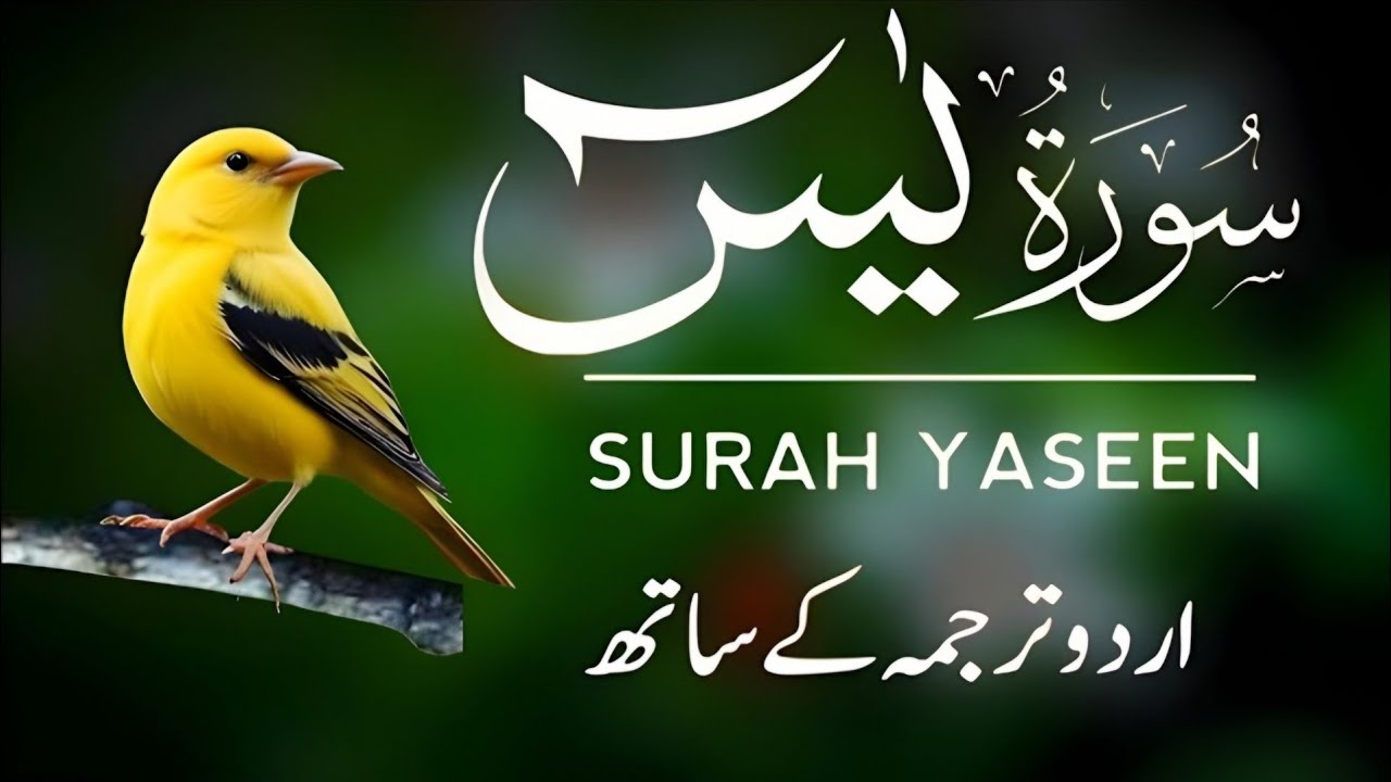 Surah Yaseen | Surah Yaseen With Urdu Translation | Episode - 677