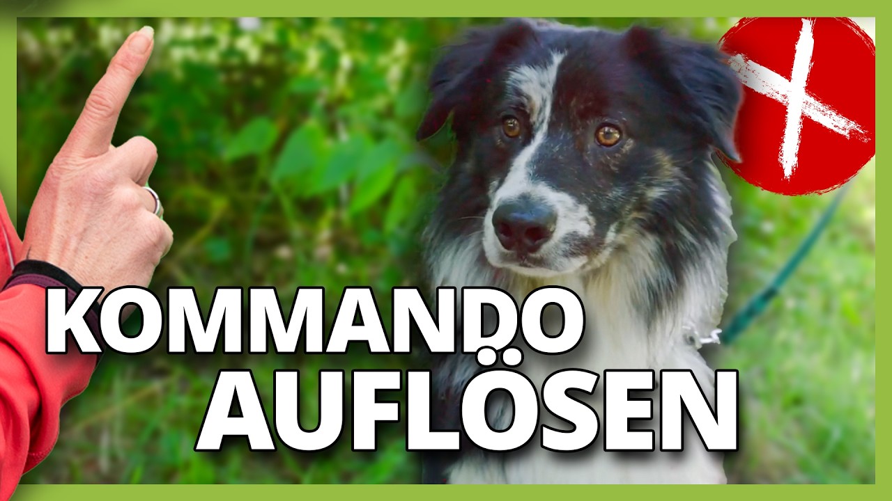 Kommando RICHTIG aufl&ouml;sen (Fehler und Risiken)