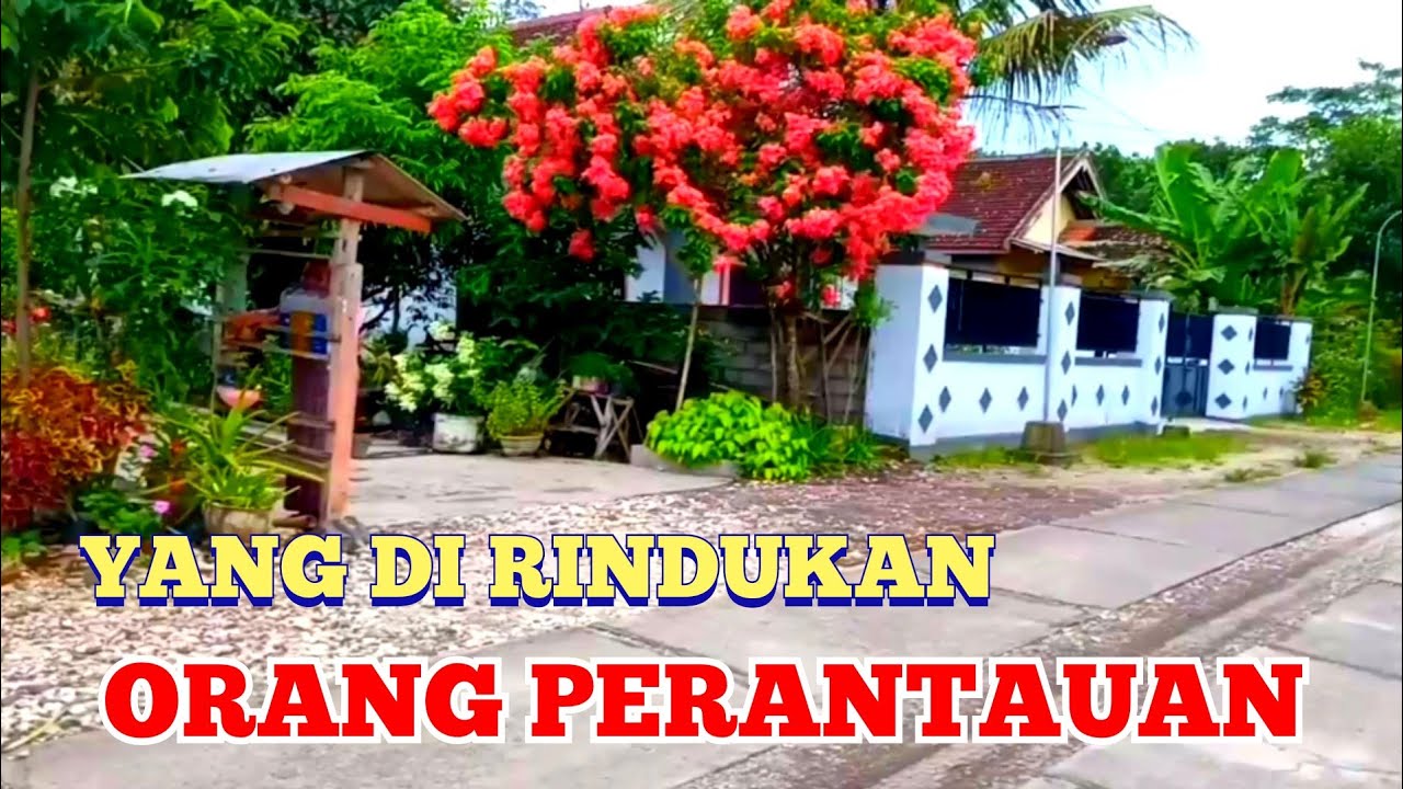 BEGINILAH SUASANA PEDESAAN‼️ YANG DI RINDUKAN ORANG PERANTAUAN