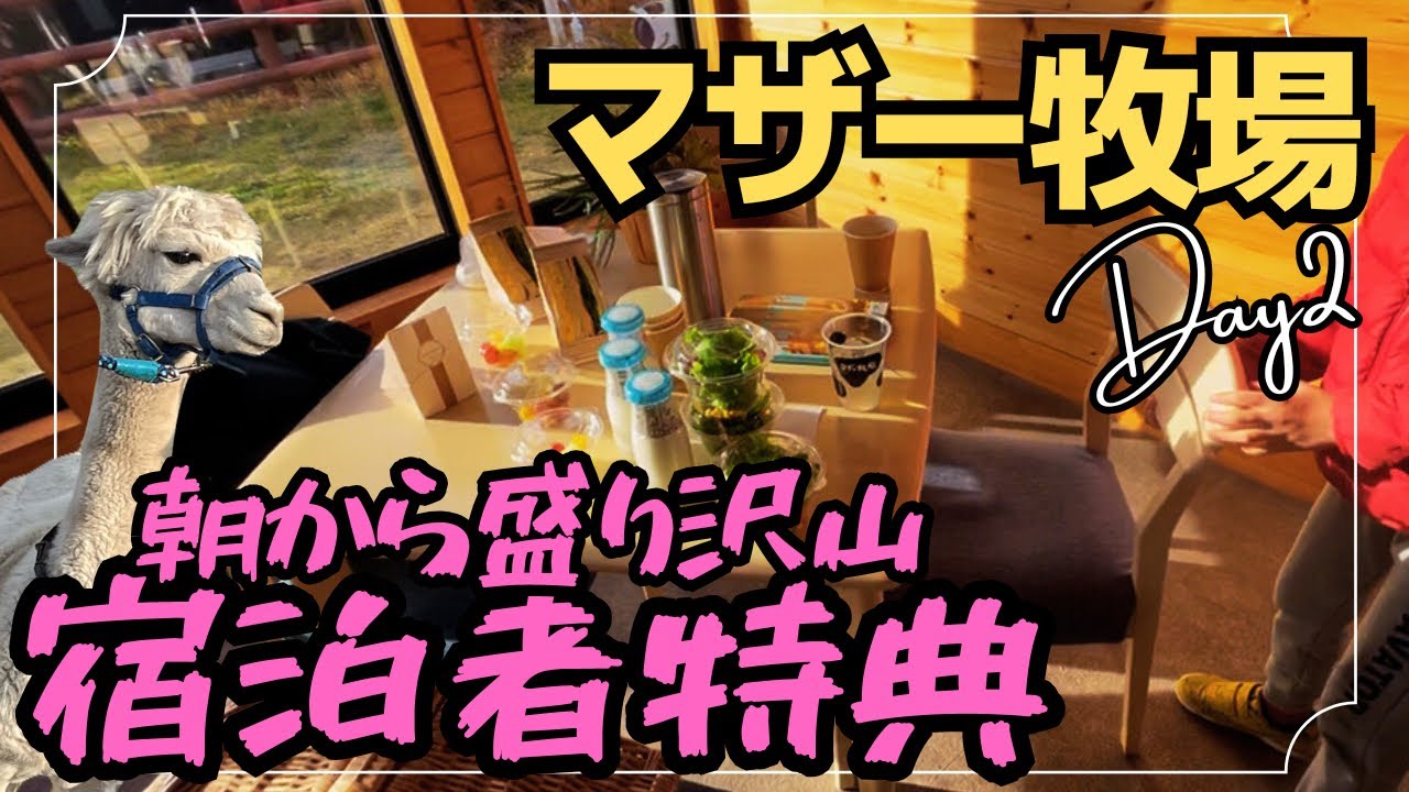 【Day2マザー牧場グランピング】朝食30分食べ放題の激うまホットドックに感激