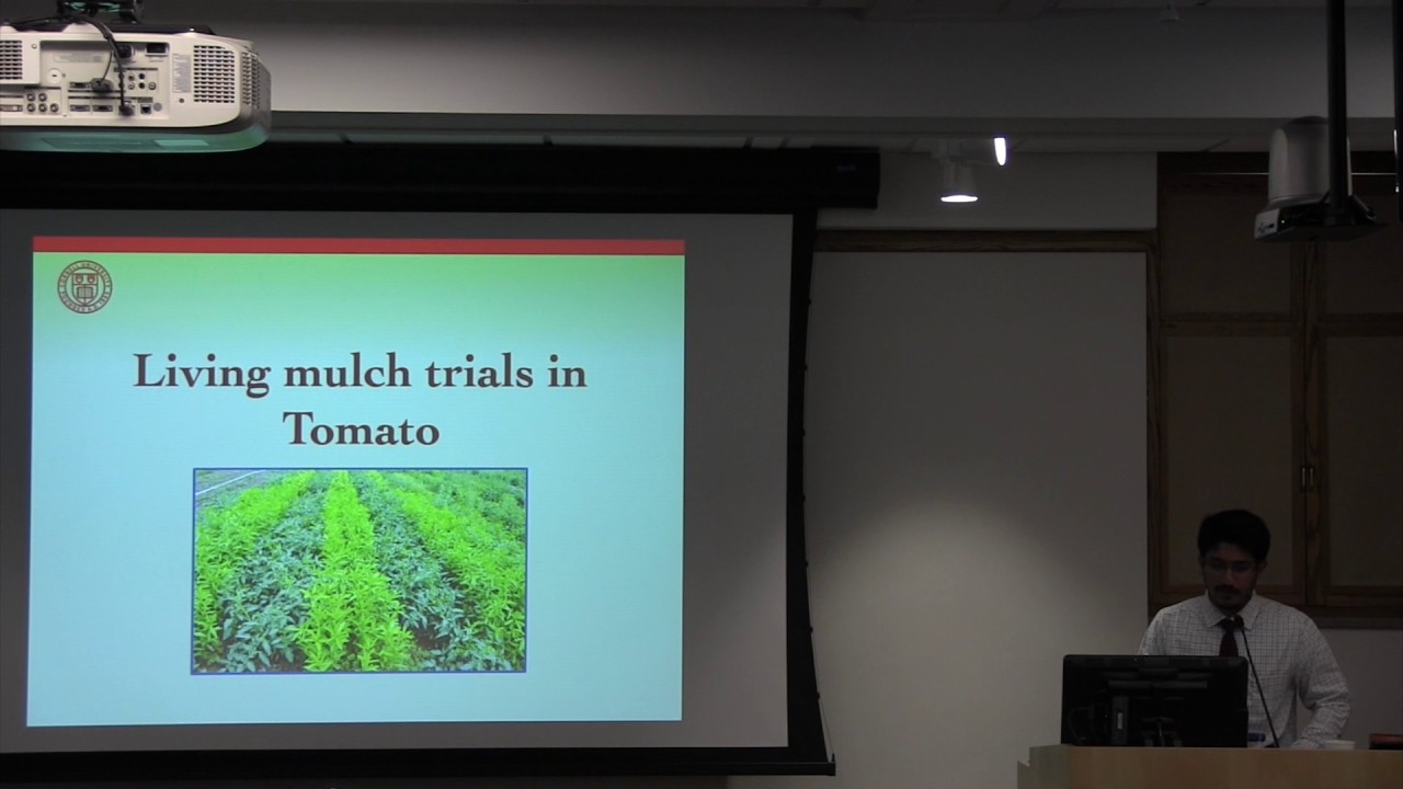 Vinay Bhaskar: Cover crop and weed management in a living mulch system for vegetables