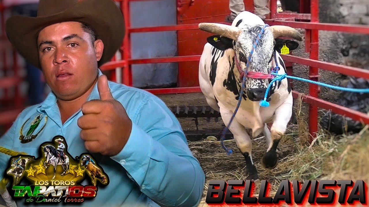 LOS TOROS TAPATÍOS DE DANIEL TORRES.!! EL COMIENZO DE ESTA GANADERÍA EN CASA Y CON SU GENTE.!!