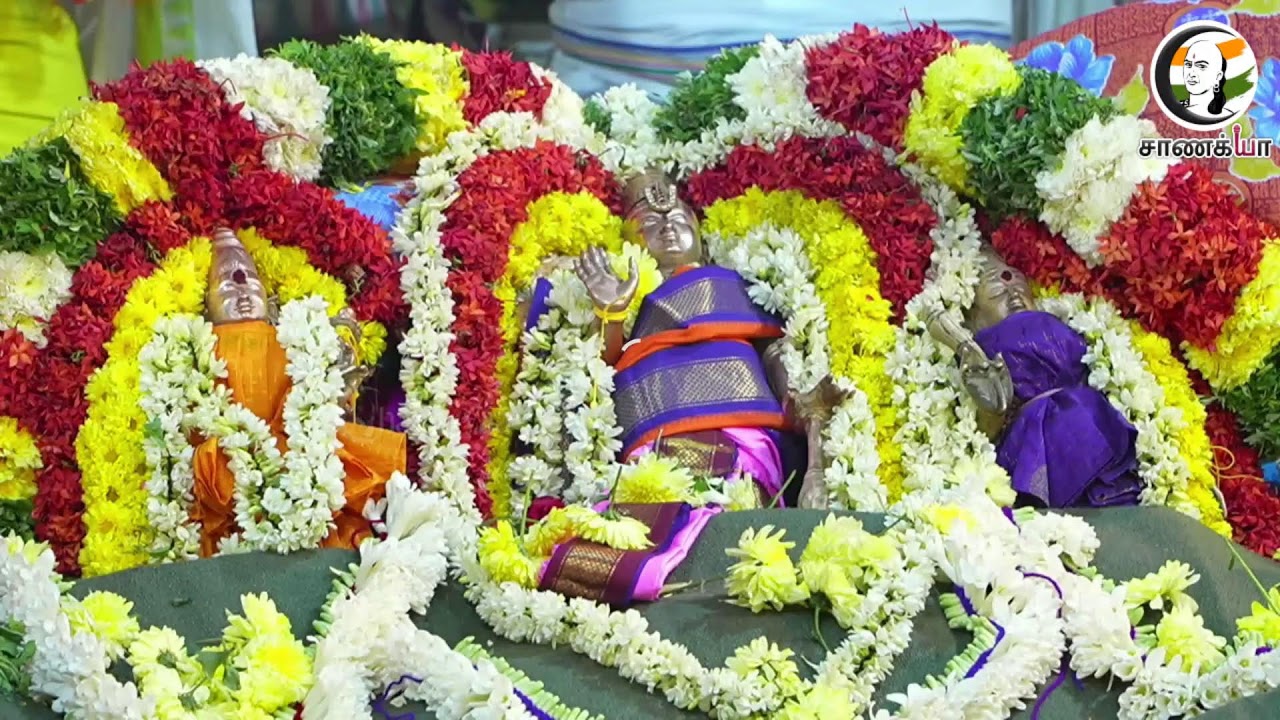 தான்தோன்றி மலை அருள்மிகு கல்யாண வெங்கட்ரமண சுவாமி திருக்கோயில் மூன்றாம் கால யாகசாலை பூஜை நேரலை
