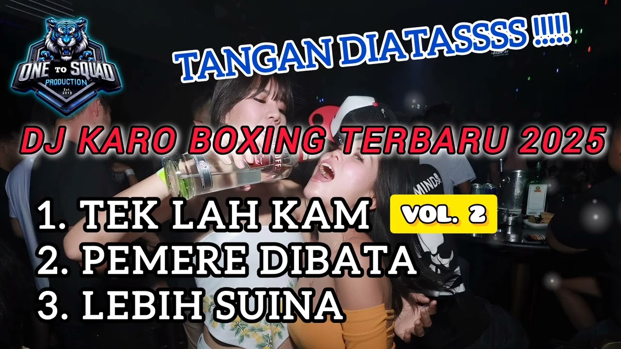DJ TEK LAH KAM VOL.2 X PEMERE DIBATA X LEBIH SUINA || DJ KARO BOXING TERBARU 2025(PaPa Gond'S Remix)
