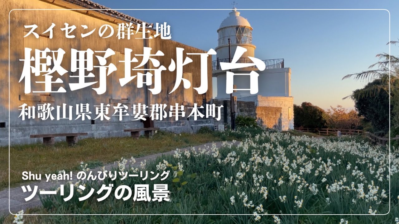 【ツーリングの風景】スイセンと灯台の白がとても綺麗な朝でした(和歌山県東牟婁郡串本町)