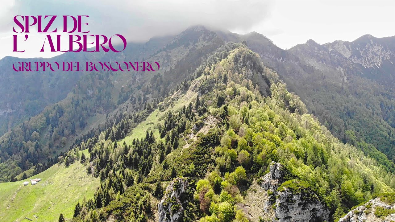 SPIZ (CIMA) DE L'ALBERO (m. 2.018) | Gruppo del Bosconero