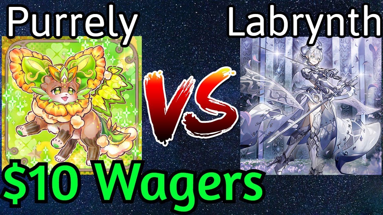Purrely Vs Labrynth $10 Money Matches Yu-Gi-Oh!
