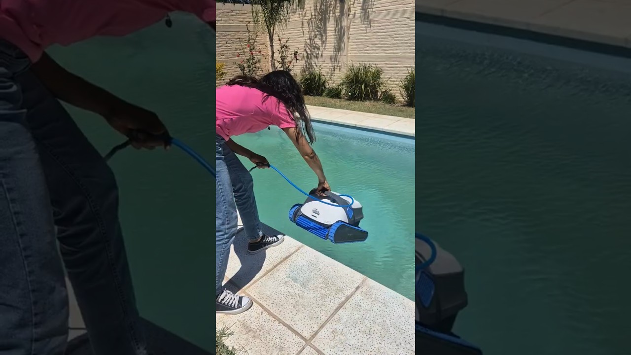 ROBOT DOLPHIN S200