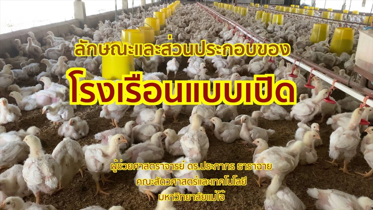 418 ลักษณะและส่วนประกอบของโรงเรือนแบบเปิด | โรงเรือนและอุปกรณ์สัตว์ปีก