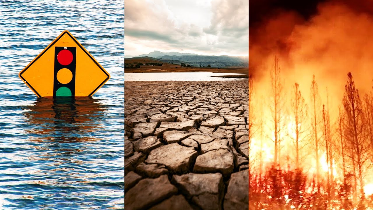Climate Change: Is Hawaiʻi Prepared? | INSIGHTS ON PBS HAWAIʻI