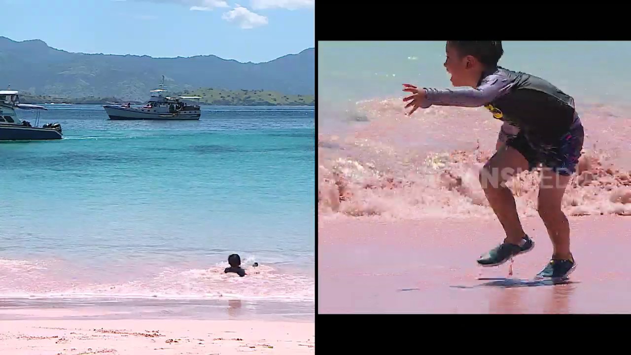 PINK BEACH Uniknya Pantai Berwarna Pink | RAGAM INDONESIA (01/06/19)