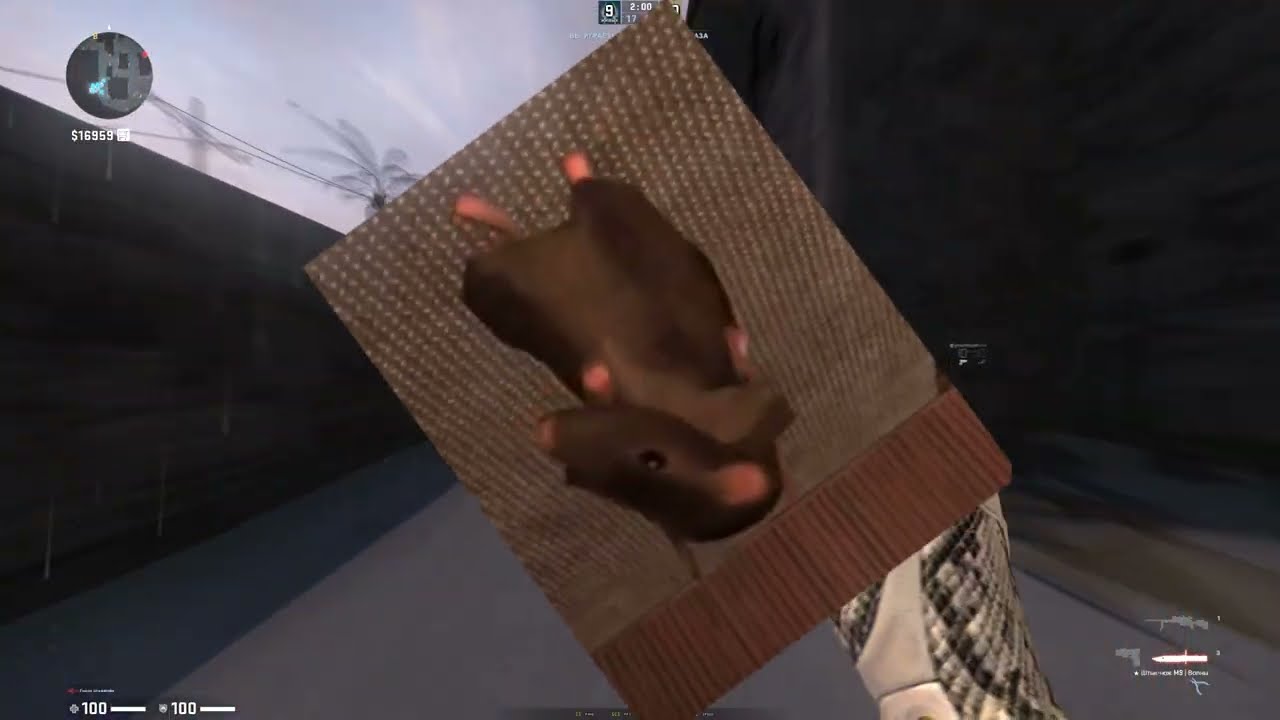 HVH HIGHLIGHTS ONLY 7K FREE CFG FREE LUA FREE CHEAT 800FPS