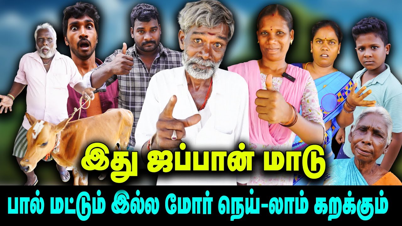 இது ஜப்பான் மாடு பால் மட்டும் இல்ல மோர் நெய்-லாம் கறக்கும்  |  Thakali COMEDY