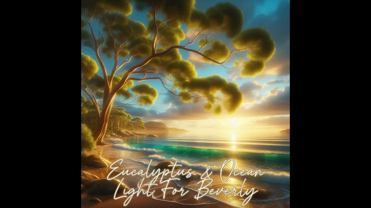Eucalyptus & Ocean Light for Beverly