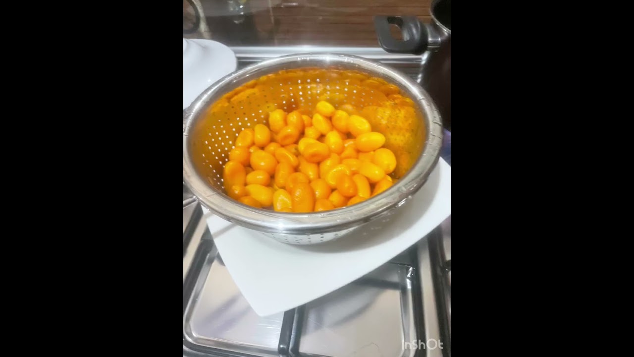 مربى