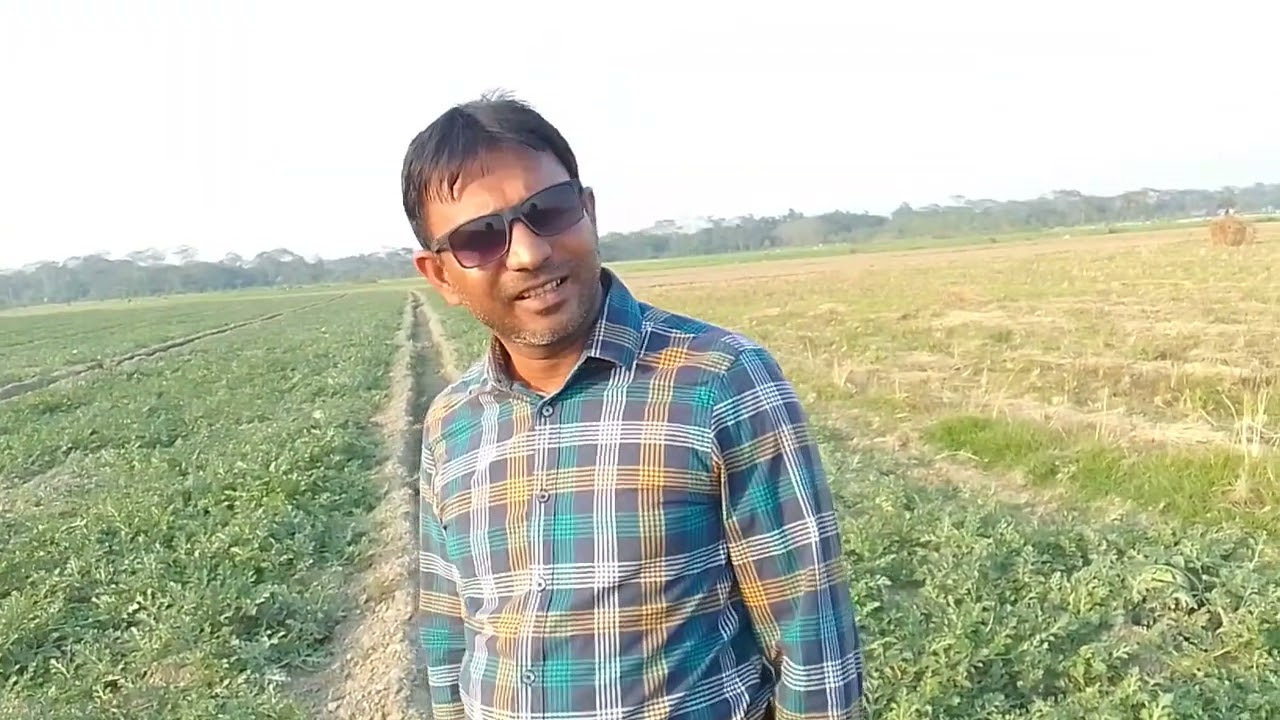 তরমুজ ক্ষেত  থেকে জানুন মালিকরা পার পিস তরমুজ কত টাকা বিক্রি করে ক্ষেত থেকে। 