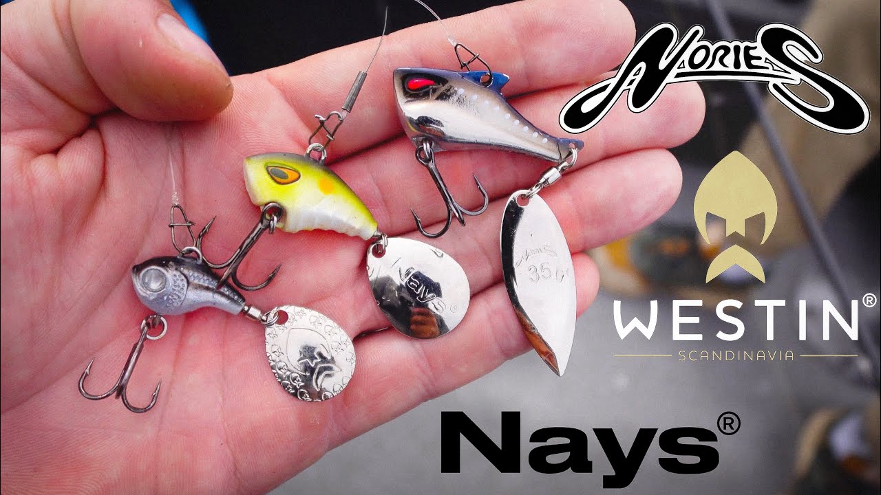 WESTIN vs. NAYS vs. NORIES ! Welcher K&ouml;der ist der BESTE ?!