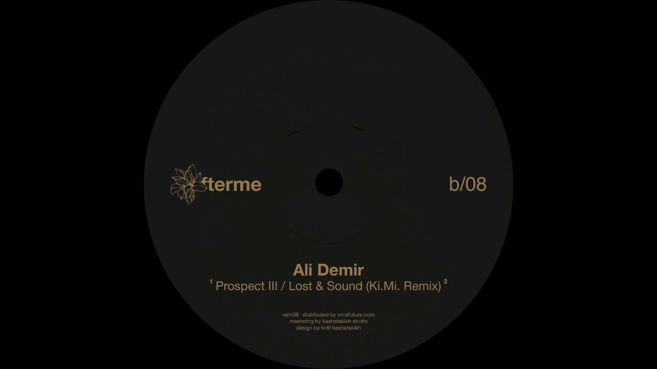 Ali Demir - Prospect III [VAM08]