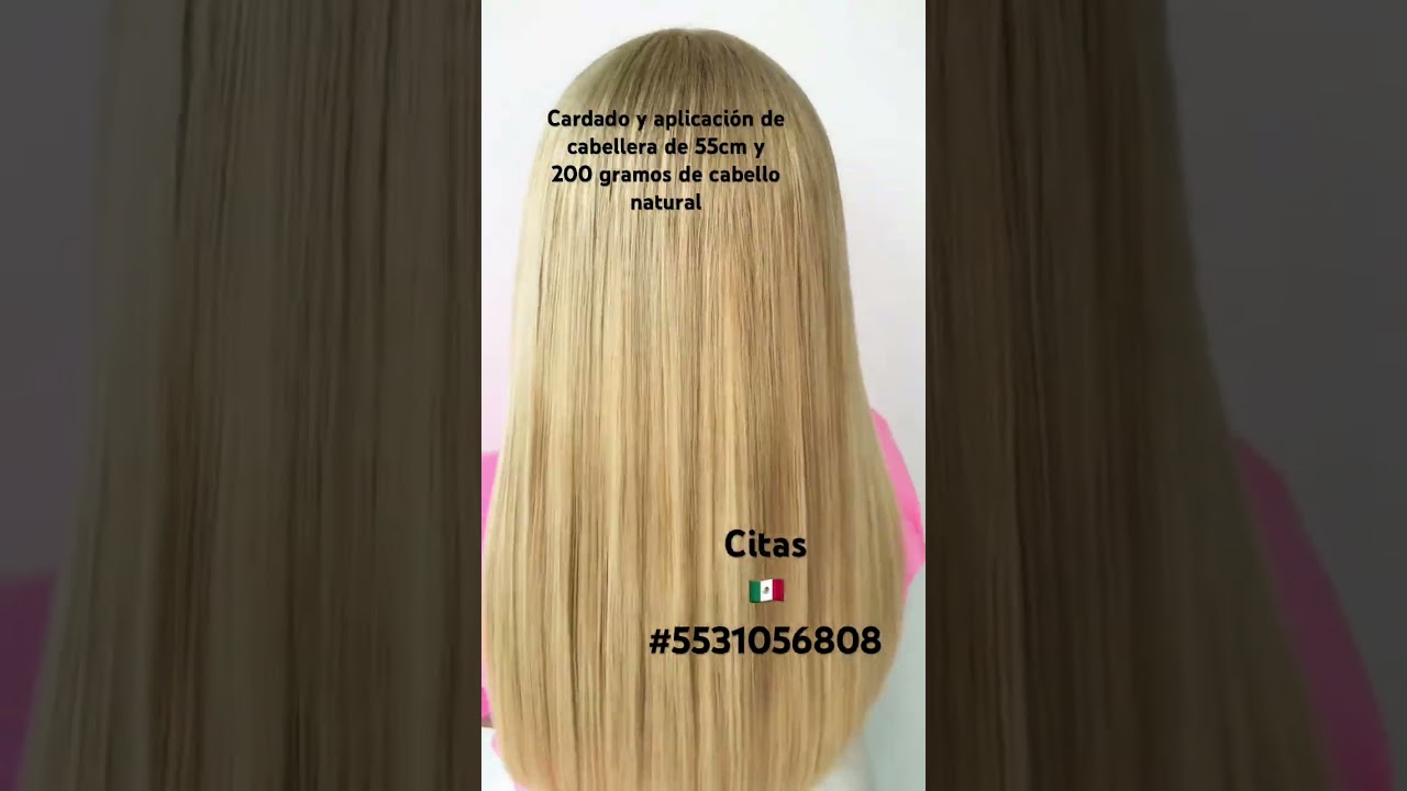 55cm, 200 gramos de cabello natural- cardado, aplicación 