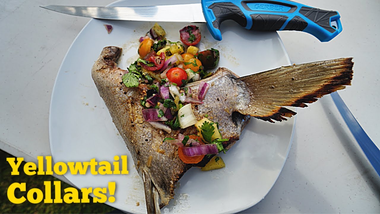 The Tastiest Part of a Yellowtail (COLLARS)