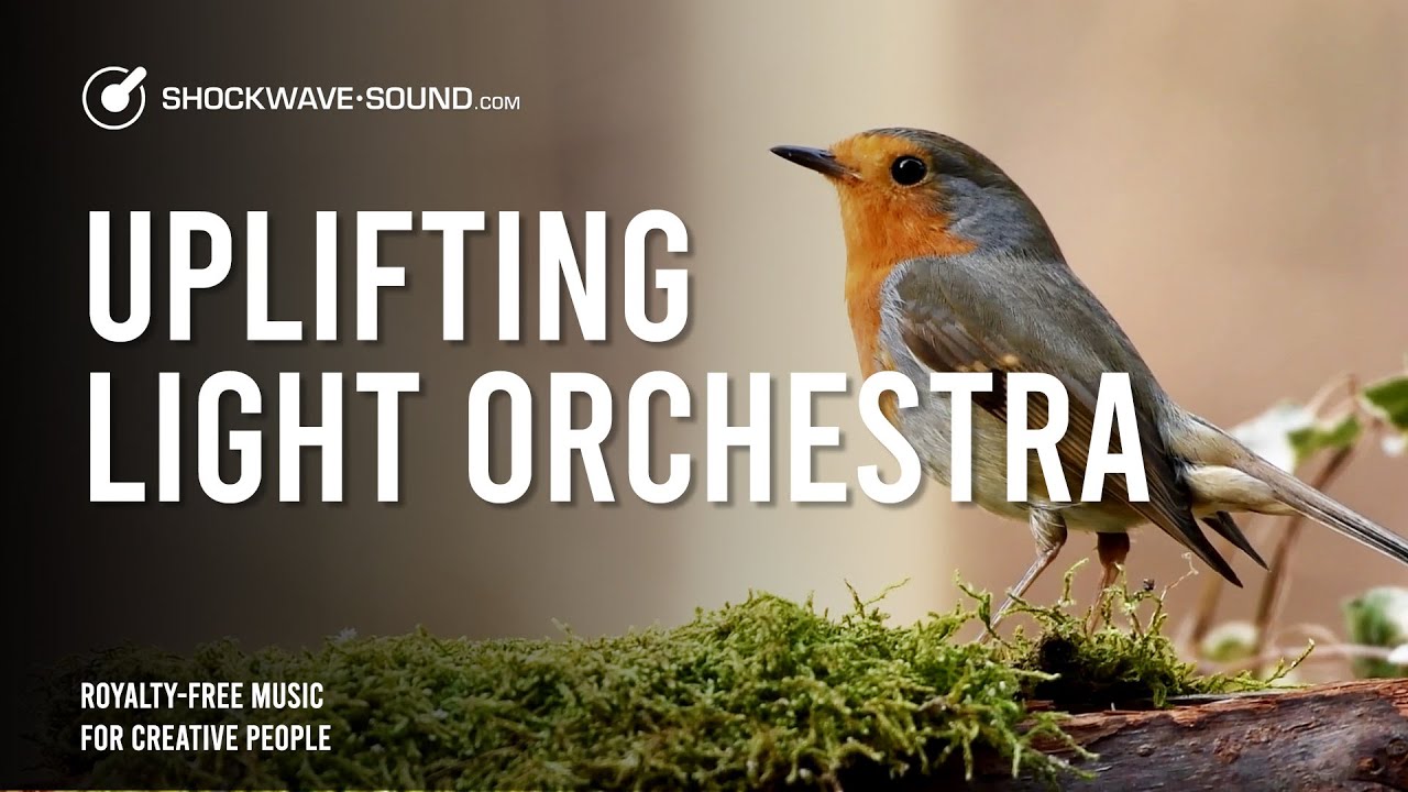 Something Stirring (Cinematic) Royalty Free Stock Music​ | Francesco Giovannangelo @Shockwave-Sound