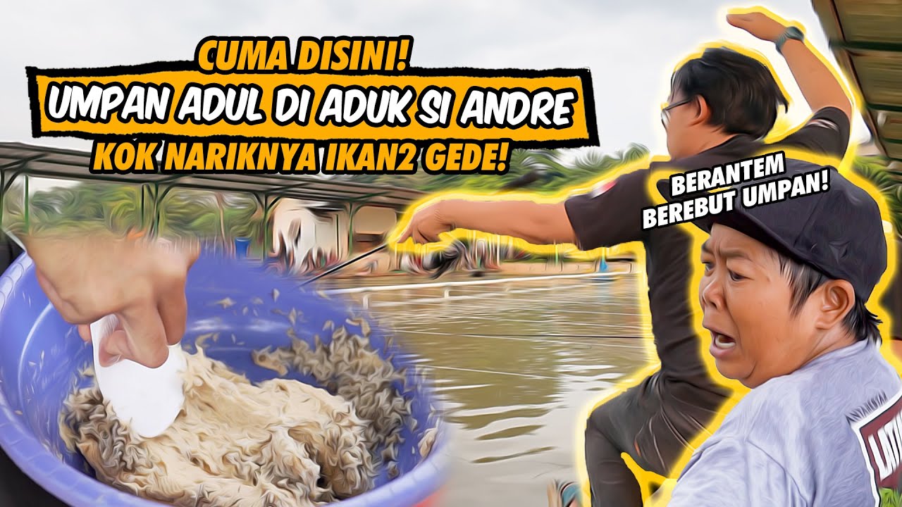 MESIN DIESEL BRO! ADUL GEMILANG MANCINGNYA DIPANASIN INDUK AUTO DITARIKIN! PEMANCINGAN DUA SAUDARA