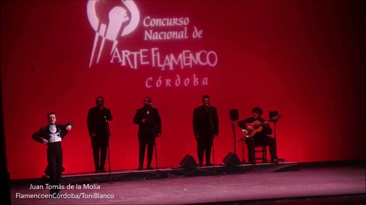 Juan Tom&aacute;s de la Mol&iacute;a, XXIII Concurso Nacional de Arte Flamenco, C&oacute;rdoba