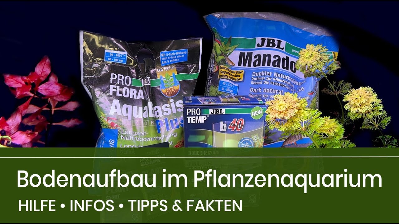 Aqua Mexx • Der richtige Bodenaufbau für ein tolles Pflanzenaquarium • Tipps, Infos und mehr