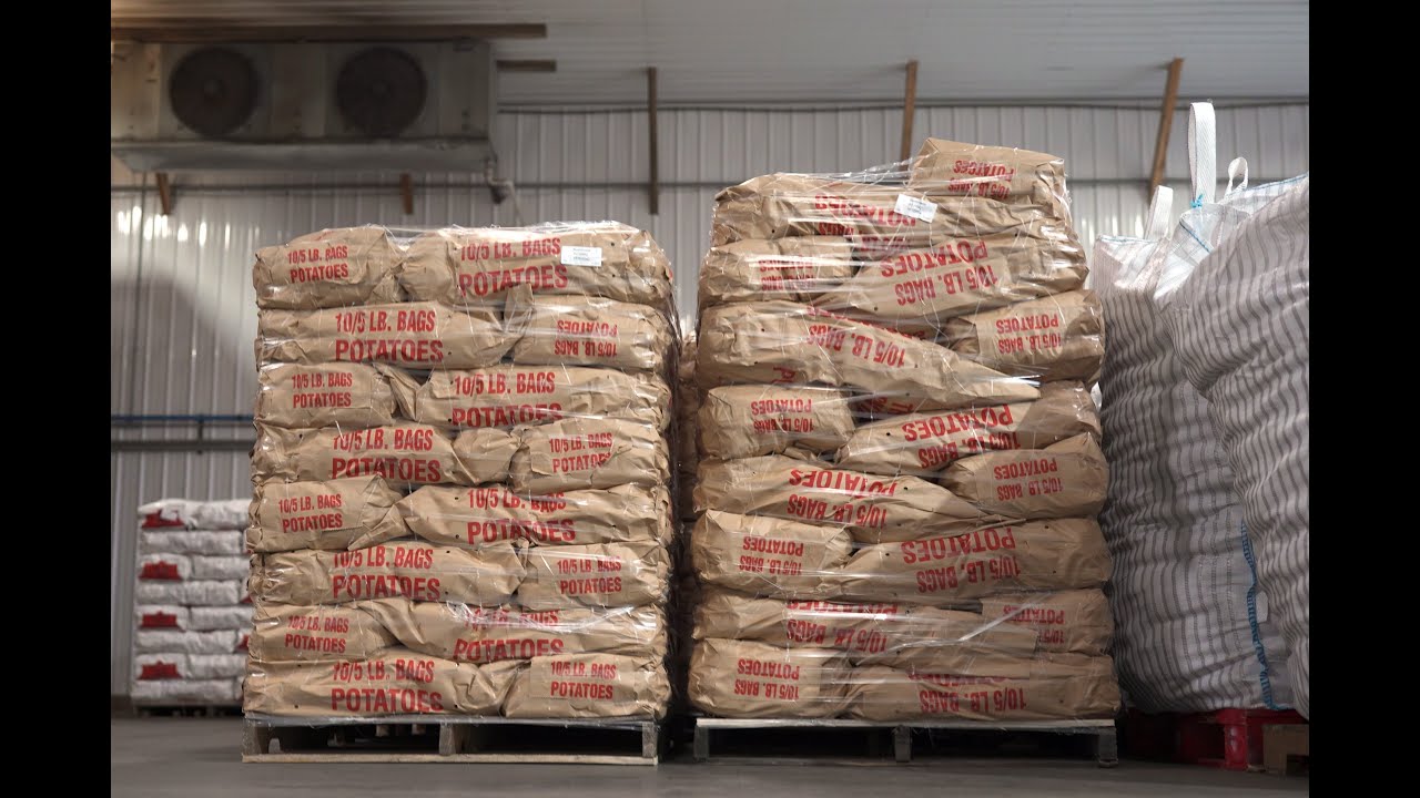 How Coloma Farms Saved a 60-Year Legacy of Potato Packing with One Game-Changing Solution