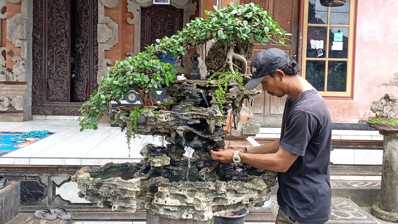 Bonsai penjing panorama