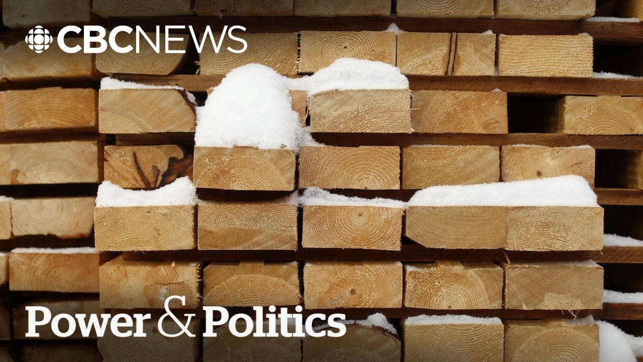 B.C. pushes for 'long-term softwood lumber deal' as U.S. group praises tariffs | Power & Politics