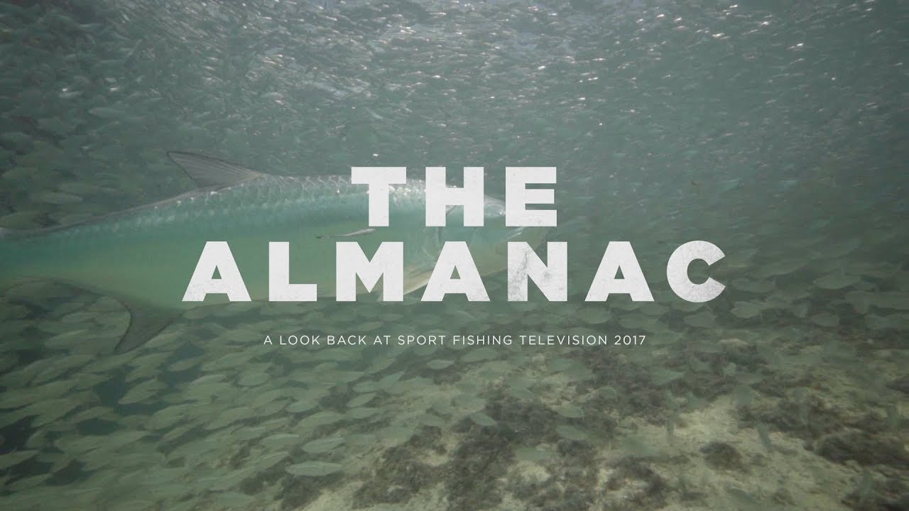 The Almanac