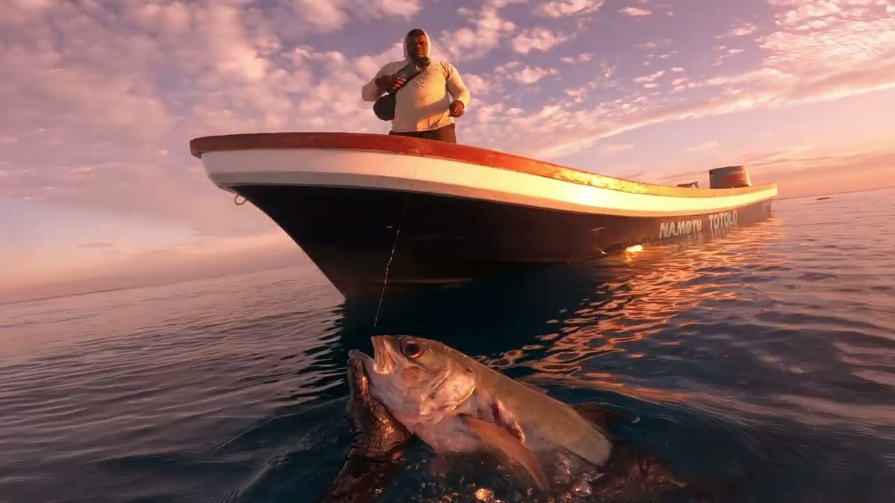 Spearfishing Fiji September 2022