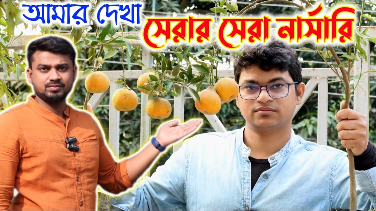 আমার দেখা সেরার সেরা নার্সারি || আম লেবু ও থাই ফলে অসাধারণ কালেকশন || Webgarden Nursery ||