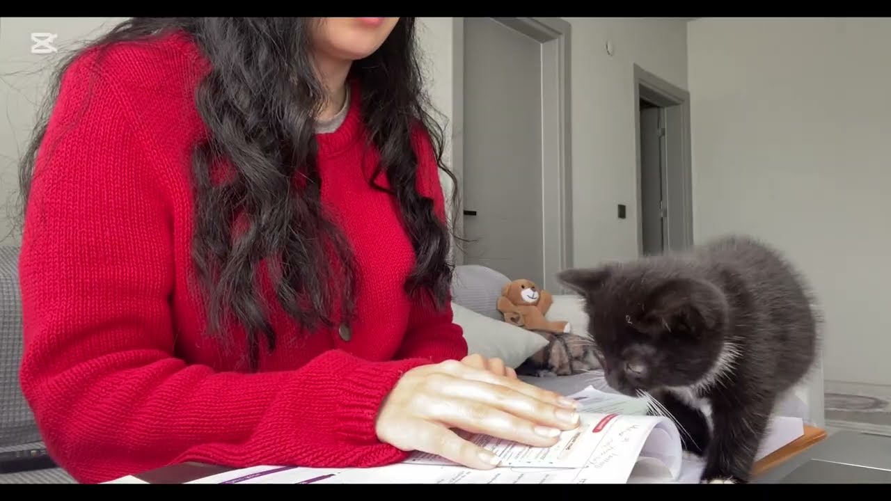 KPSS VLOG📚 | ilk vlog #kpss #study #kpss2026 #dersçalışmagünlüğü 