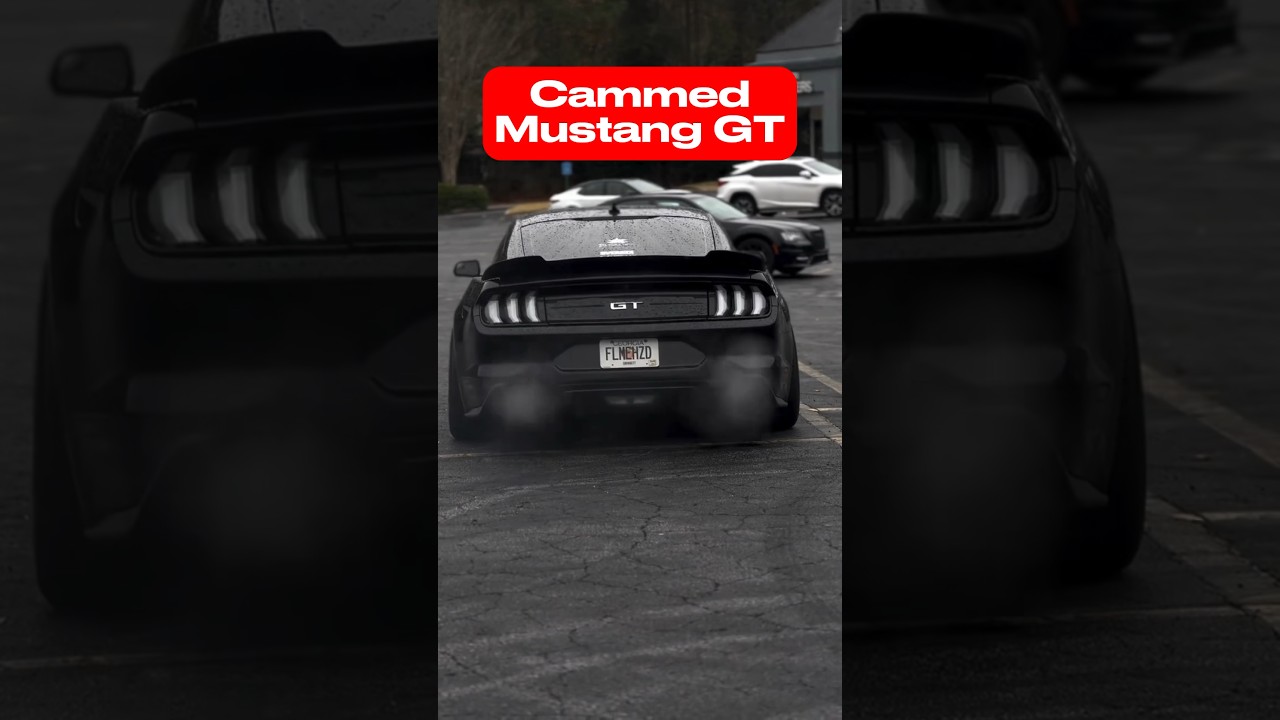 Cammed Mustang GT 😍