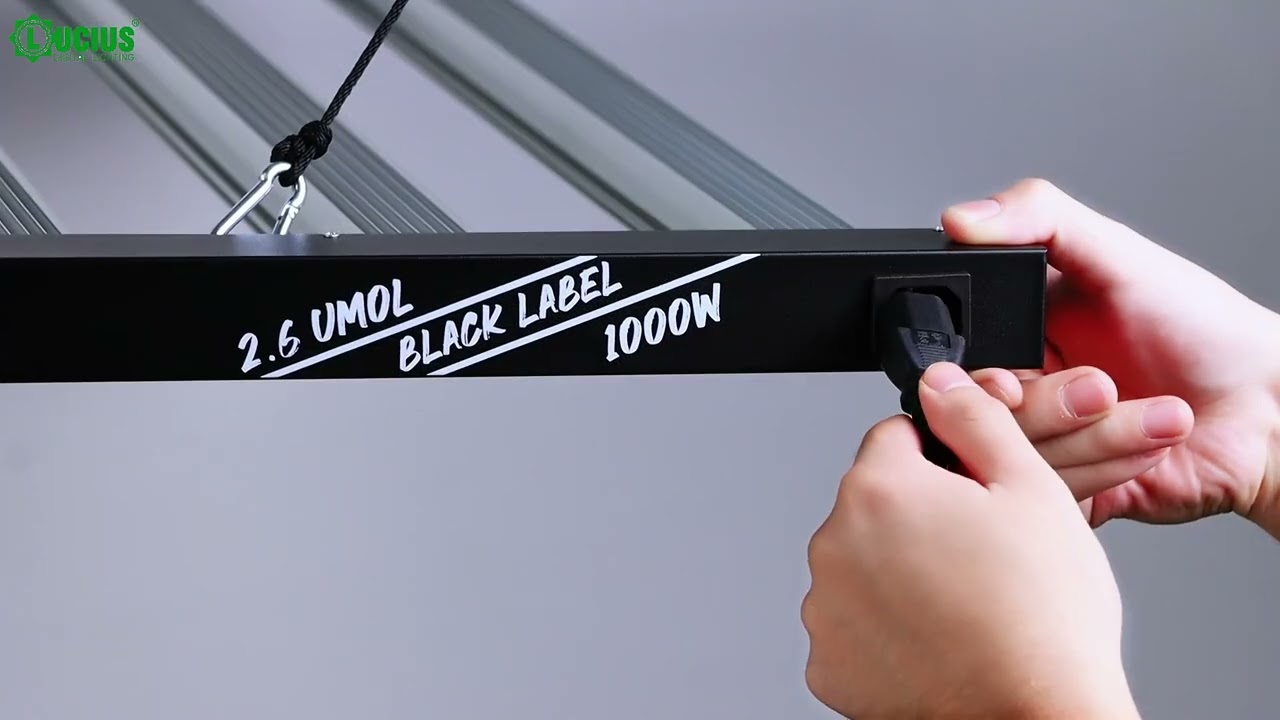 1000W Led Grow Light-Grow Smaller, Not Harder