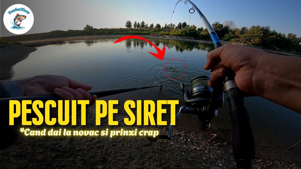 Pescuit pe Siret // Cand dai la novac si prinzi crap 👀