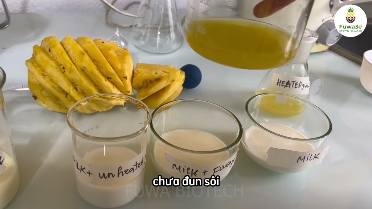 Enzyme trong nước ép dứa có tác dụng gì với sữa? | FUWA BIOTECH