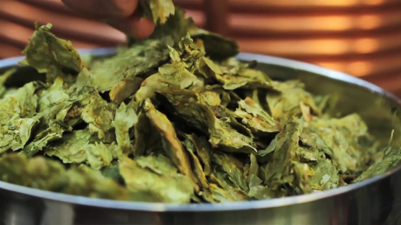 NTK - Hop szklankę piwa! prod. DJ. Cider (video mashup)